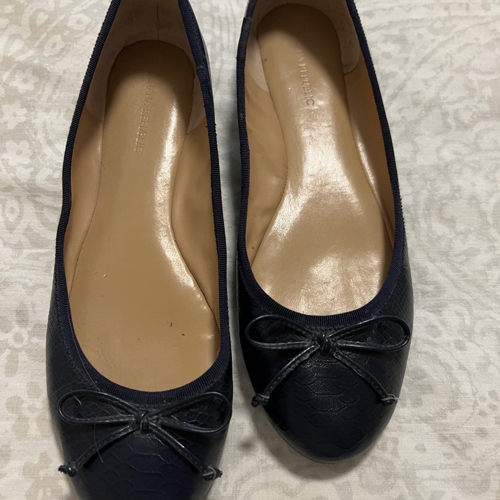 Banana Republic Ashley Ballet Shoes